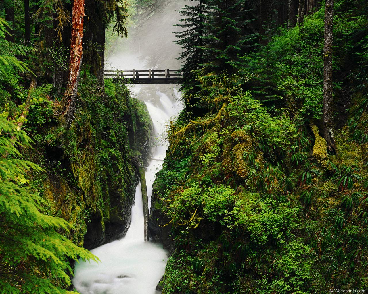 bridge_falls.jpg