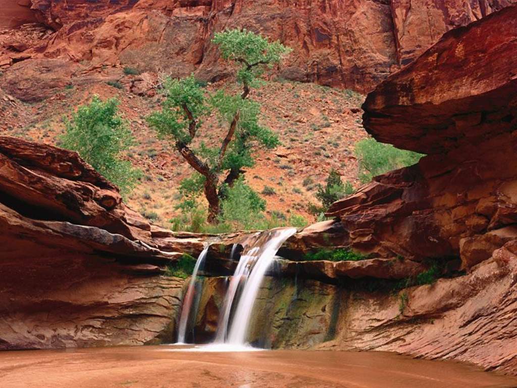 Coyote Gulch_ Escalante River Canyons_ Utah.JPG