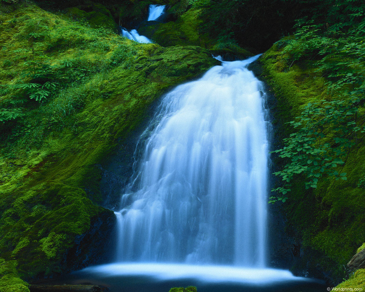 mossy_falls.jpg