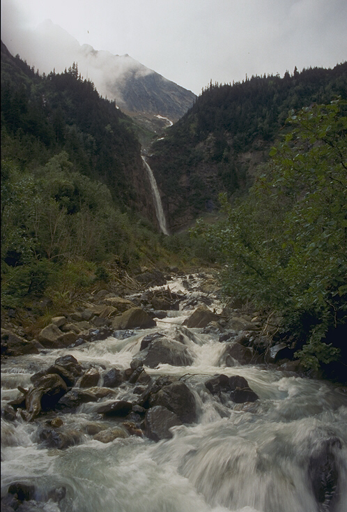 NATURE02.JPG