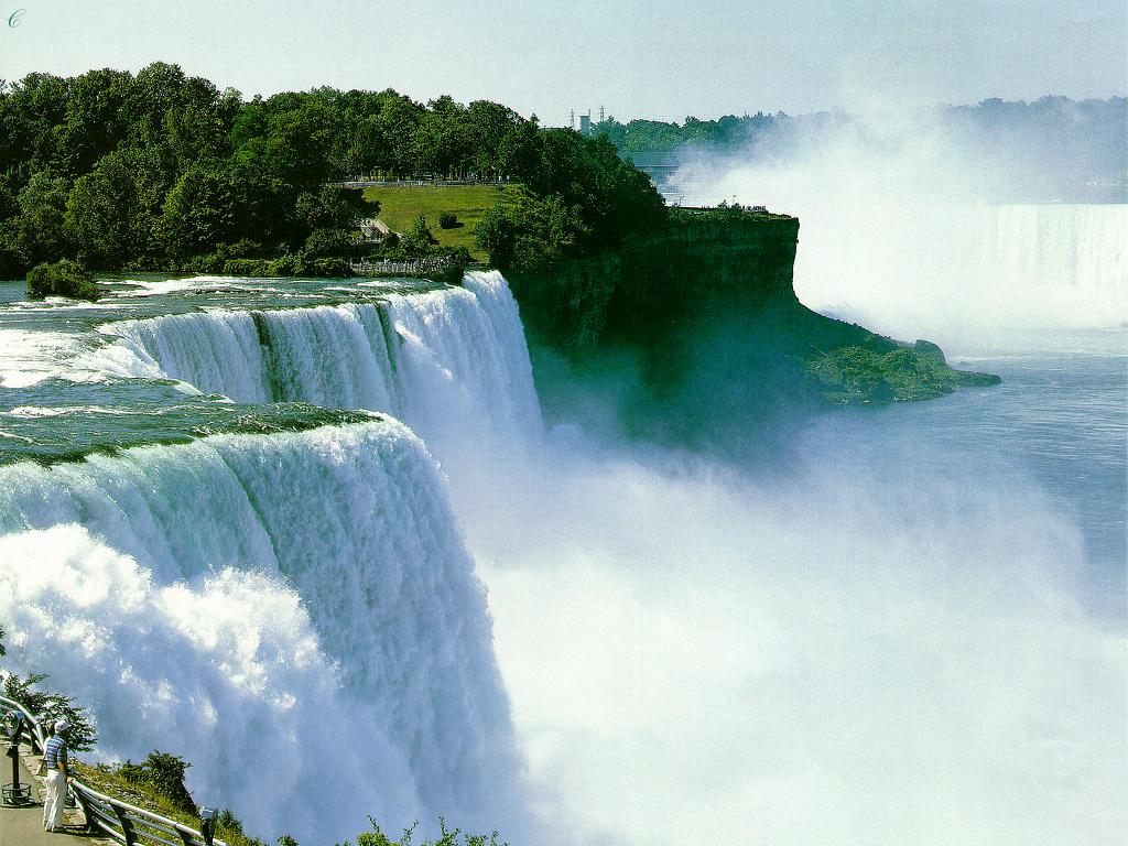 nature110.JPG