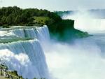 nature110.JPG