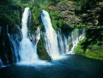 nature163.JPG
