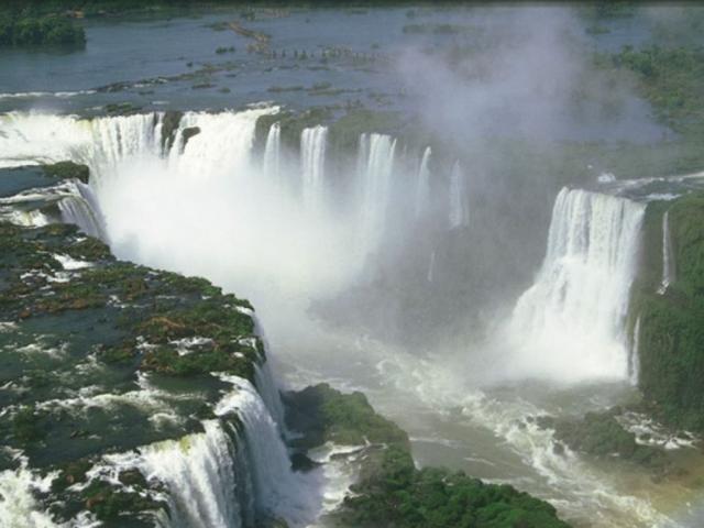nature179.JPG
