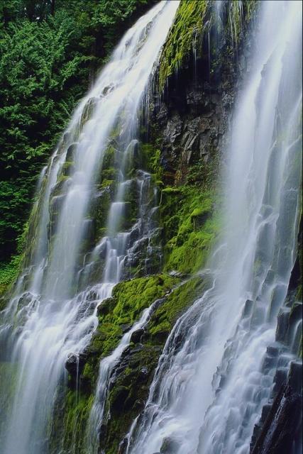 PIC_25.JPG
