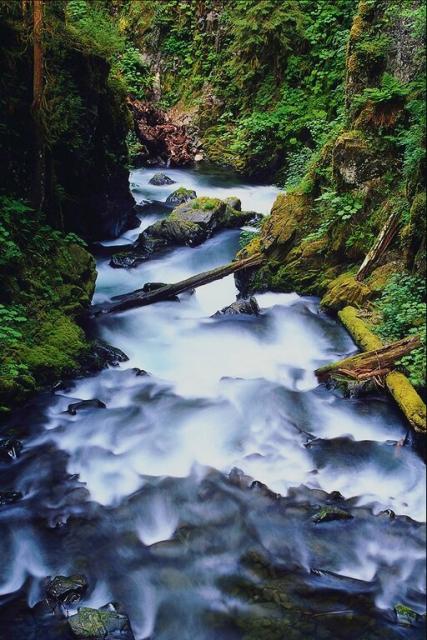 PIC_26.JPG