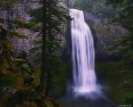 tree_falls.jpg