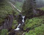 waterfall006.jpg