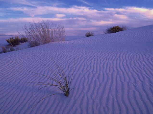 24SC041.JPG