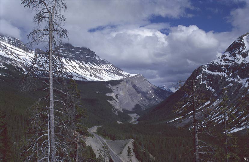 BANFF__1.JPG