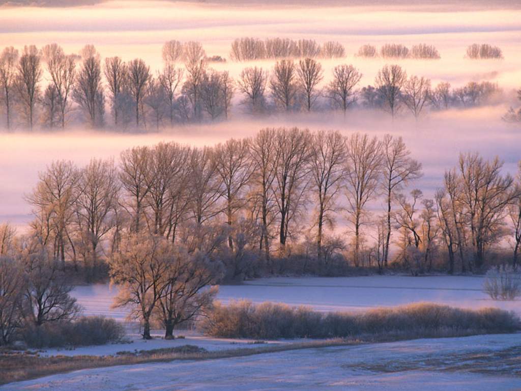 Misty Morn.JPG