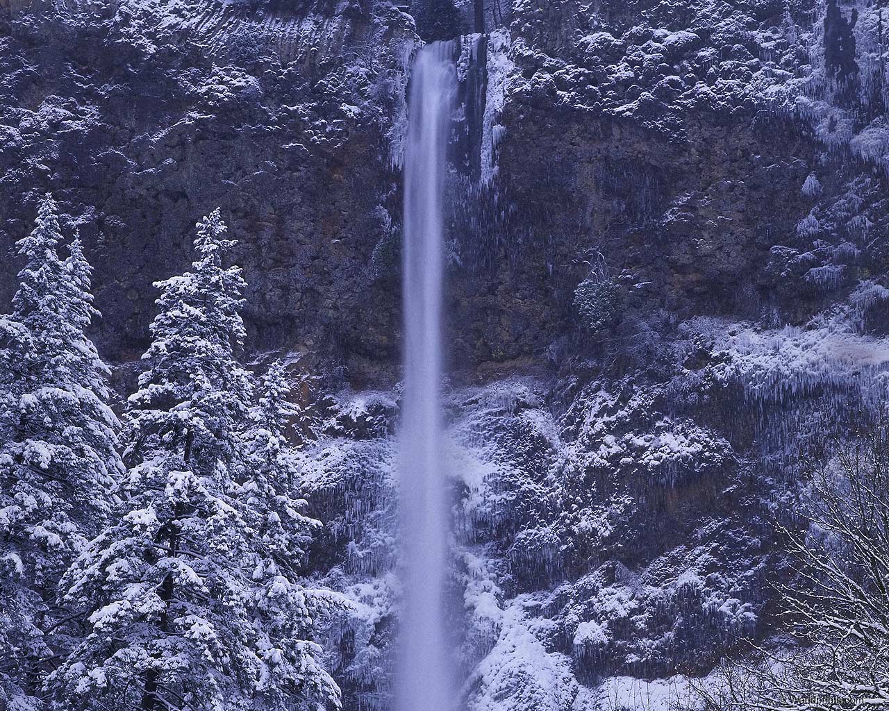 multnomgh_falls.jpg