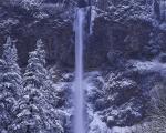 multnomgh_falls.jpg