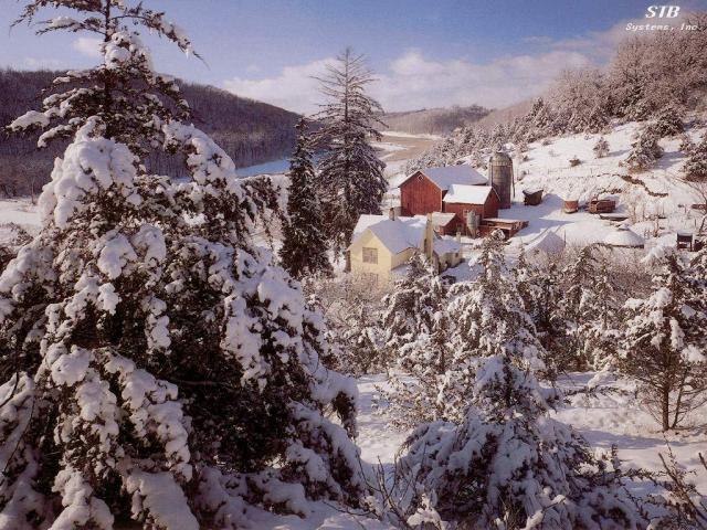 N000134.JPG