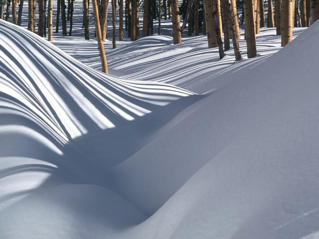 nature200.jpg