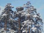 nature51.jpg