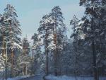 nature63.jpg