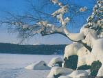 Nature_12.jpg