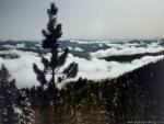 Nature_21.jpg