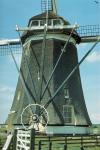 Photography of mill in Holland