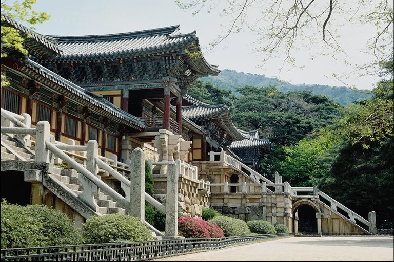 照片的佛教寺庙