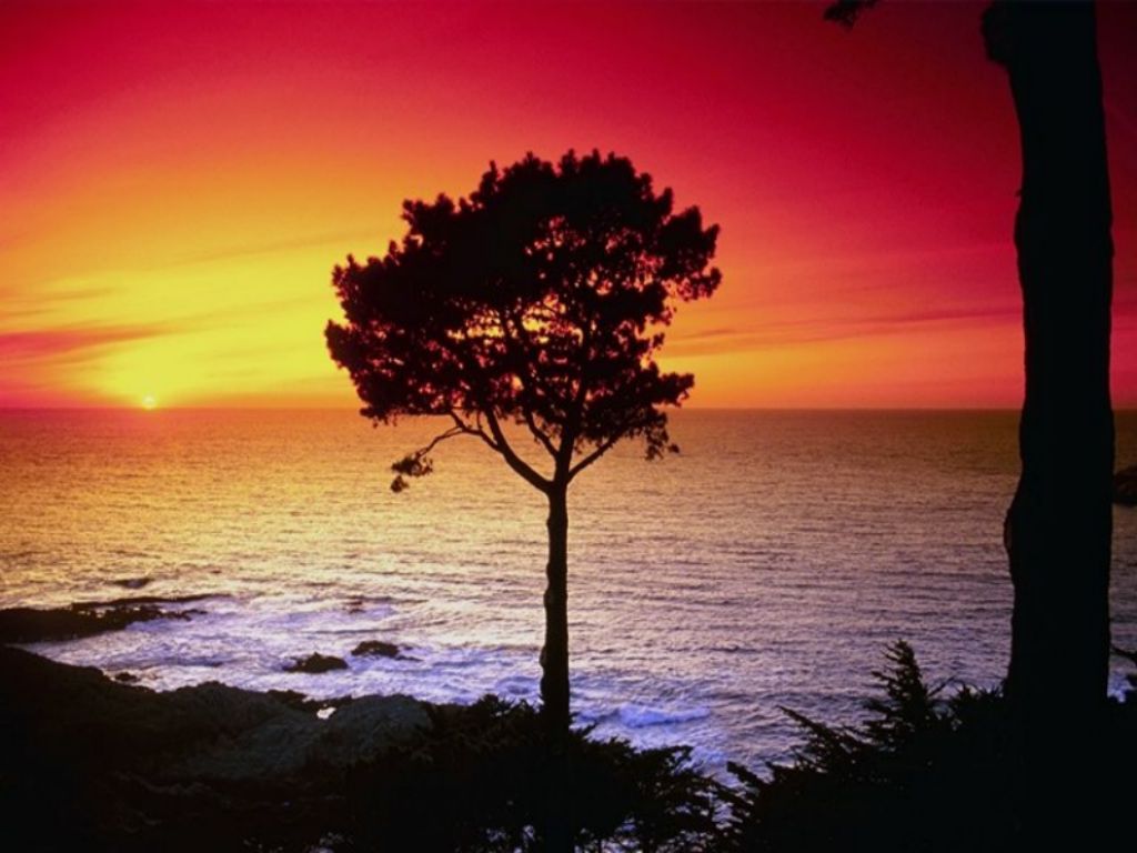 b_sunset99.jpg