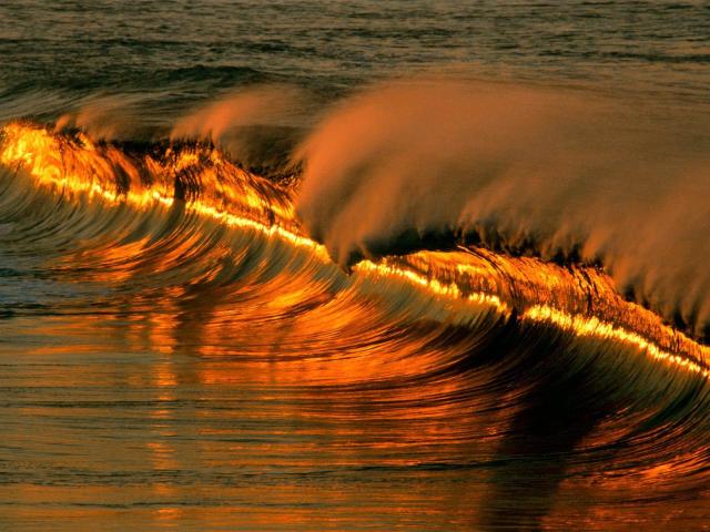 golden Wave.jpg