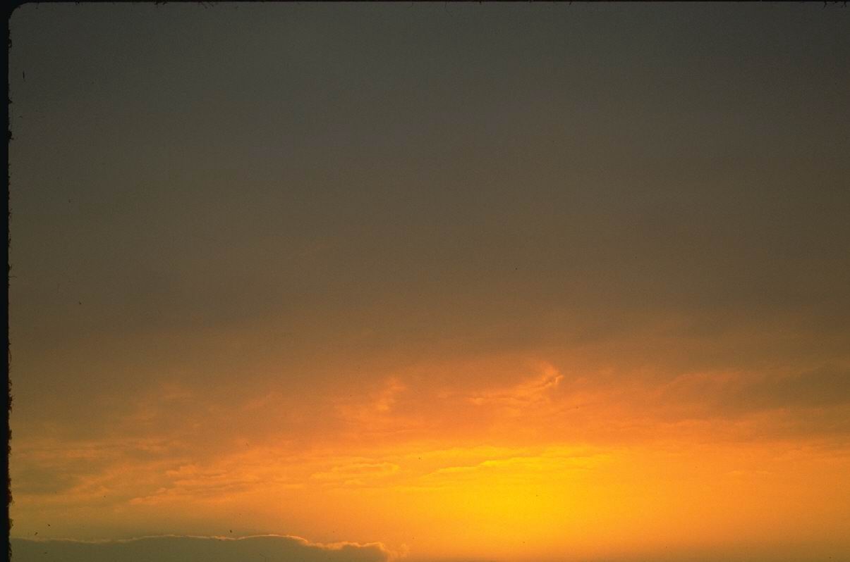 IMG0060.jpg