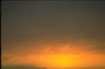 IMG0060.jpg