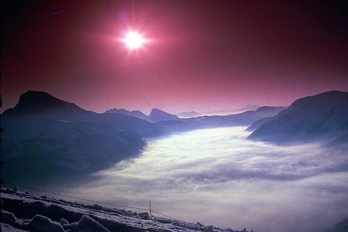 IMG0260.jpg