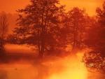 Misty River at Dawn.JPG
