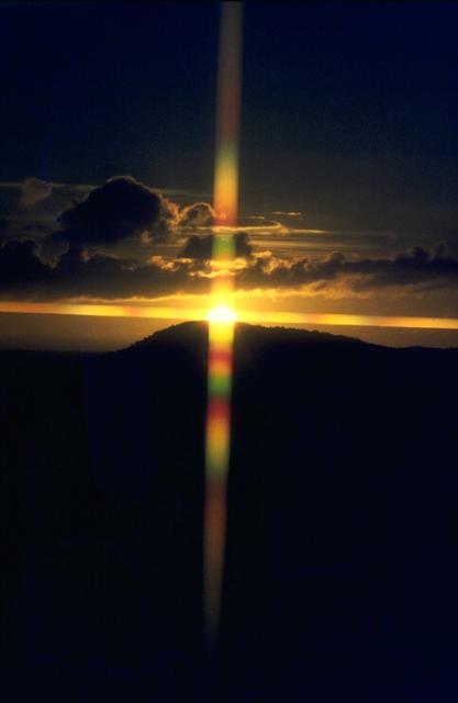 NATURE05.JPG