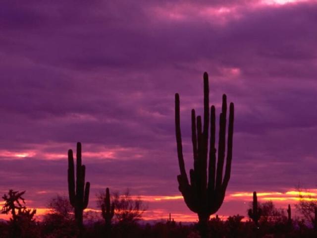nature151.jpg