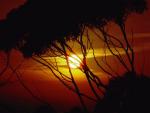 nature162.jpg