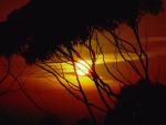 nature162.jpg