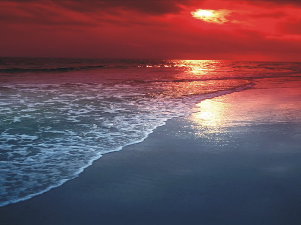 nature182.JPG