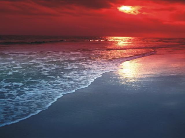nature182.JPG