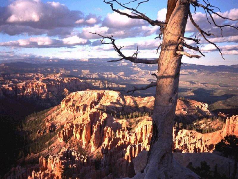 nature183.jpg