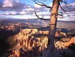 nature183.jpg