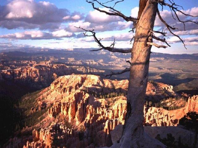 nature183.jpg