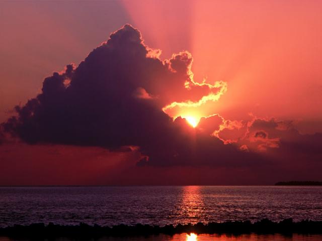nature189.jpg