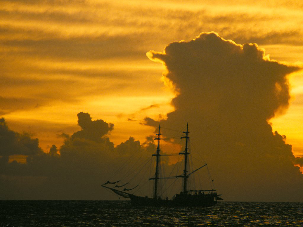 nature21.jpg