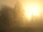 nature230.jpg