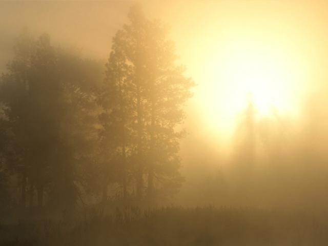 nature230.jpg