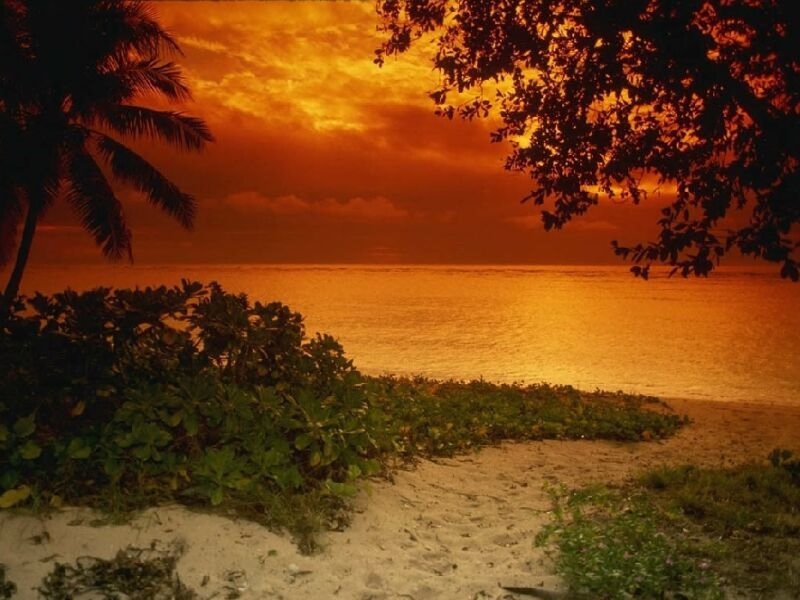nature45.jpg