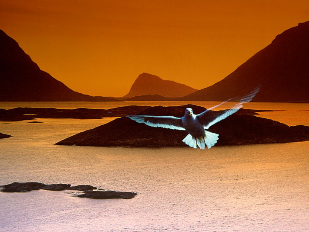 nature98.jpg