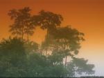 Nature_25.jpg
