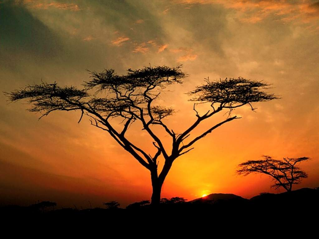 Saburu Hills Sunrise_ Samburu Game Reservation_ Kenya.JPG