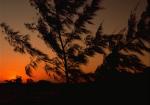 SUNSET_7.JPG