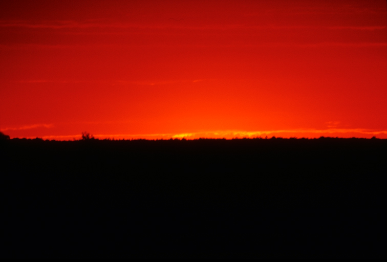 SUNSET1.JPG